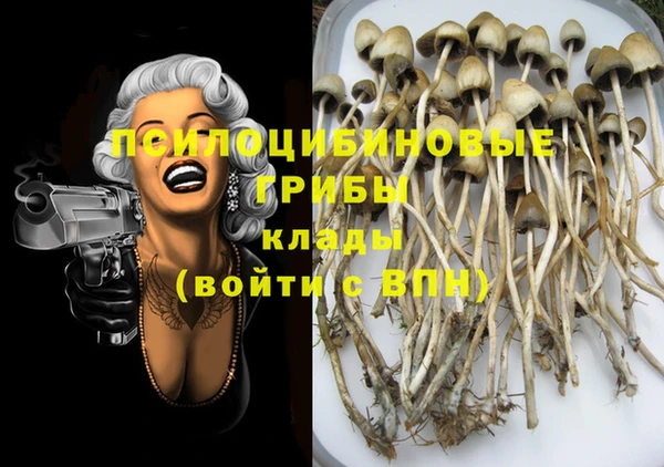 кокаин Каменка