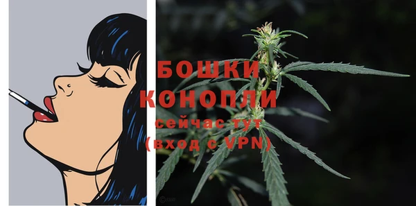 молекула духа Каменногорск