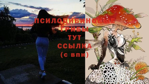 молекула духа Каменногорск