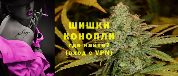 молекула духа Каменногорск