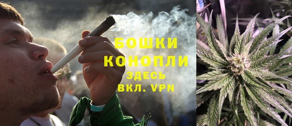 молекула духа Каменногорск