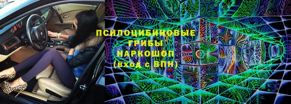 молекула духа Каменногорск